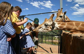 National Zoo & Aquarium - Inverell Accommodation 2