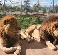Mansfield Zoo - Inverell Accommodation