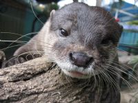 Underwater World - Inverell Accommodation 1