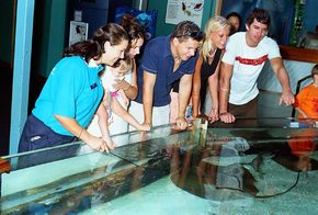 Underwater World - Inverell Accommodation 3