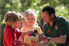 Cleland Wildlife Park - Inverell Accommodation 0
