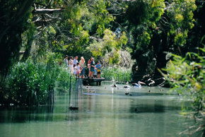 Cleland Wildlife Park - Inverell Accommodation 1