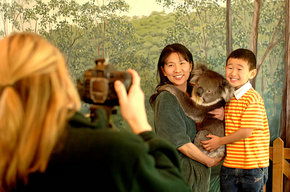 Cleland Wildlife Park - Inverell Accommodation 2