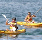 Manly Kayaks - Inverell Accommodation