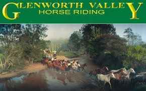 Glenworth Valley Horseriding - Inverell Accommodation 0