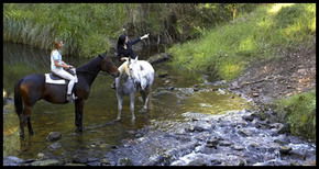 Glenworth Valley Horseriding - Inverell Accommodation 1