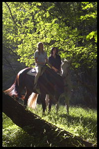 Glenworth Valley Horseriding - Inverell Accommodation 2