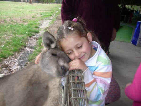 Gumbuya Park - Inverell Accommodation 3