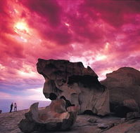 Kangaroo Island Adventure Tour 2 day/1 night - Inverell Accommodation