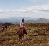 High Country Horses - Inverell Accommodation