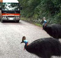 Kookaburra Tours - Inverell Accommodation