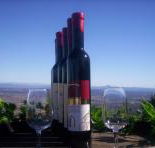 Mount Tamborine Winery  Homestead - Inverell Accommodation