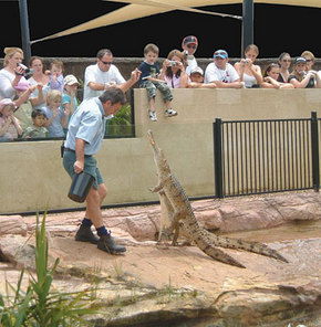 Symbio Wildlife Gardens - Inverell Accommodation 3