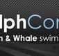 Dolphcom - Dolphin  Whale Swimming Adventures - Inverell Accommodation