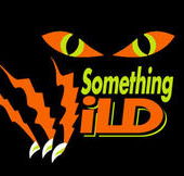 Something Wild - Inverell Accommodation