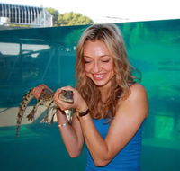 Crocosaurus Cove - Inverell Accommodation