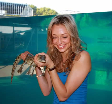 Crocosaurus Cove - Inverell Accommodation 0