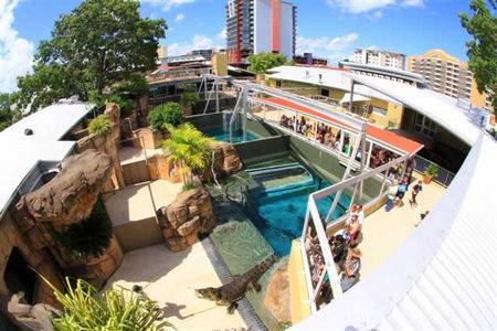 Crocosaurus Cove - Inverell Accommodation 1