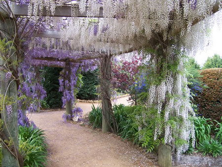 Abingdon Miniature Village - Inverell Accommodation 0