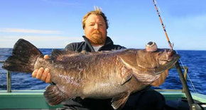 Bravo Fishing Charters - Inverell Accommodation 0