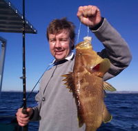 Downunder Charters - Inverell Accommodation
