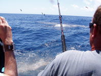 Downunder Charters - Inverell Accommodation 3