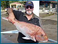 Odyssey Charters - Inverell Accommodation 1