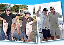 Odyssey Charters - Inverell Accommodation 3