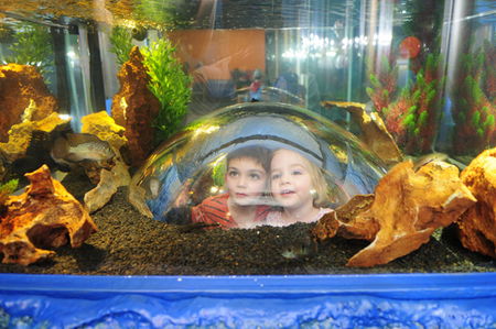 Scitech - Inverell Accommodation 3