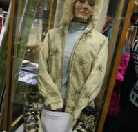 Alpine Museum - Inverell Accommodation