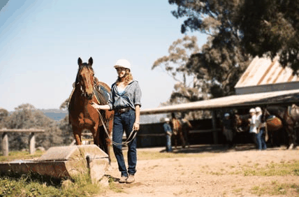 Watsons Trail Rides - Inverell Accommodation