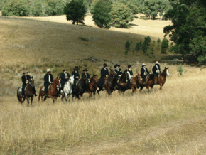 McCormacks Mountain Valley Trail Rides - Inverell Accommodation