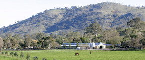 Blue Gum Farm - Inverell Accommodation 1