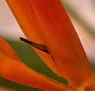 Zen Day Spa - Inverell Accommodation