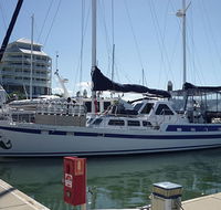 Coral Sea Dreaming Dive and Sail - Inverell Accommodation