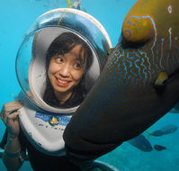 Sunlover Reef Cruises - Inverell Accommodation