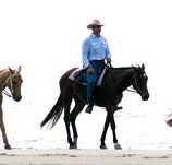 Ride the Beach - Inverell Accommodation