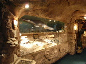 The National Opal Collection - Inverell Accommodation 2