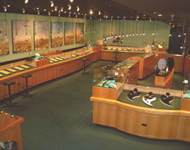 The National Opal Collection - Inverell Accommodation 3