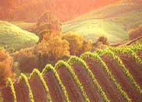 Meridian Tours - Inverell Accommodation 2