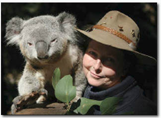 Koala Park Sanctuary - Inverell Accommodation 2