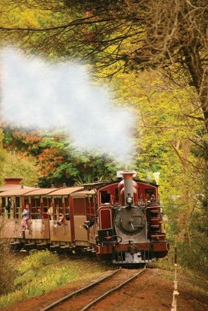 Puffing Billy - Inverell Accommodation 5