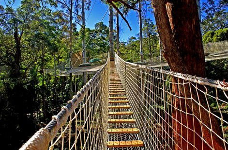 FreemanX Experience - Inverell Accommodation 2