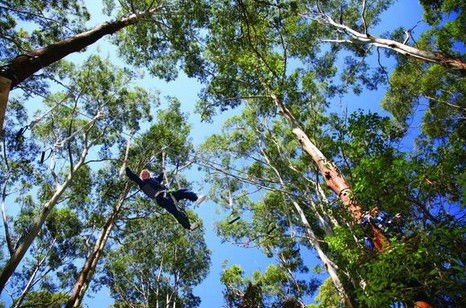 FreemanX Experience - Inverell Accommodation 5