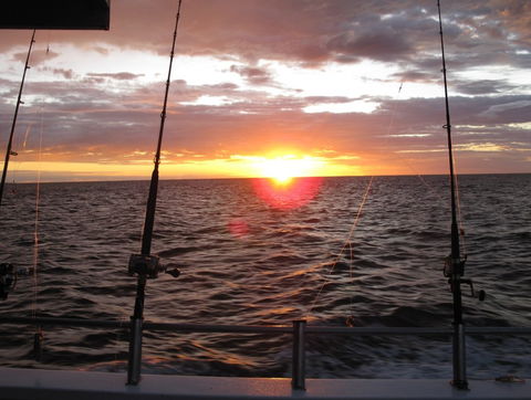 Blue Juice Charters - Inverell Accommodation 5
