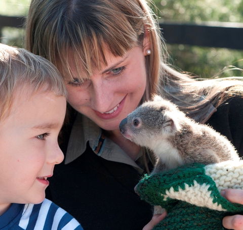 Australian Reptile Park - Inverell Accommodation 1