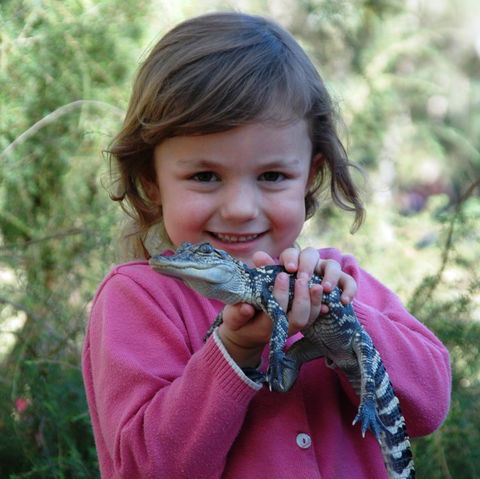 Australian Reptile Park - Inverell Accommodation 2