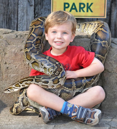 Australian Reptile Park - Inverell Accommodation 3