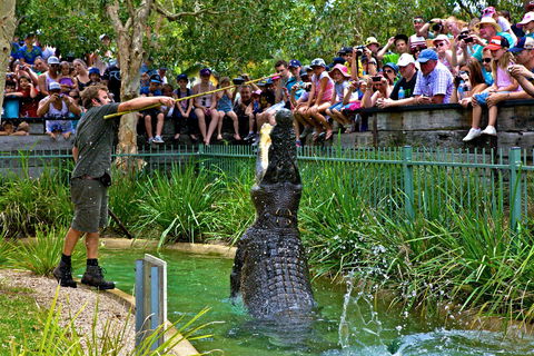 Australian Reptile Park - Inverell Accommodation 4
