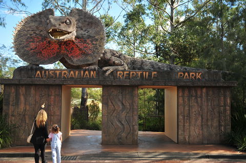 Australian Reptile Park - Inverell Accommodation 5